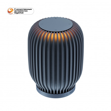 SBER SberBoom Темно-серый Акустическая система (Умная колонка с голосовым управлением)
