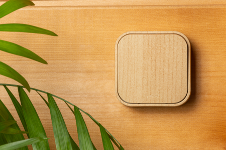 Legrand Quteo Сосна Переключатель 1-клавишный 10А