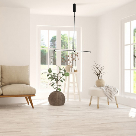 Подвесной светильник Maytoni P096PL-L11BK Maytoni Supersymmetry