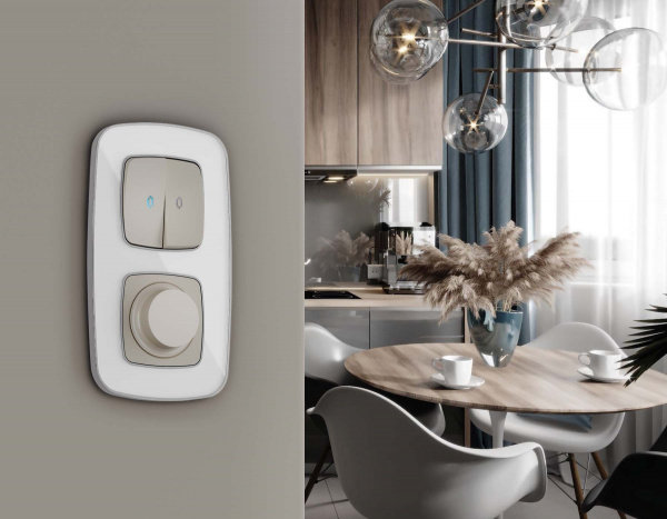 Рамка OMEGA Coint (Белый Стекло органическое/Серебро) 4-ая OF640134