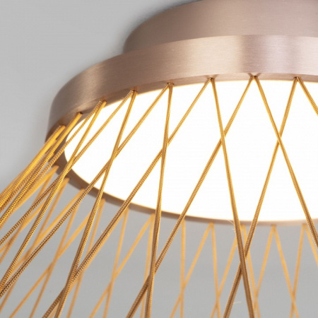 Потолочный светодиодный светильник 40019/1 LED коричневый Eurosvet Cesta