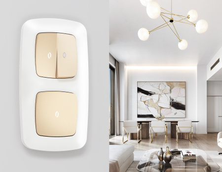 Рамка OMEGA Ecta (Белый матовый) 5-ая OF140125