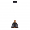 Подвесной светильник Arte Lamp Eurica A4245SP-1BK