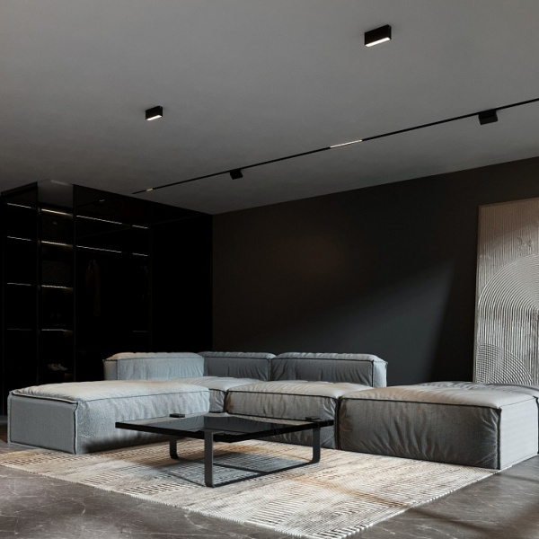 Светильник потолочный светодиодный 10W 4000K черный Block 25109/LED Elektrostandard Block a066997