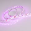 Arlight Светодиодная лента RT 2-5000 24V RGB 10mm (4040, 120 LED/m, LUX) (13.2 Вт/м, IP20)