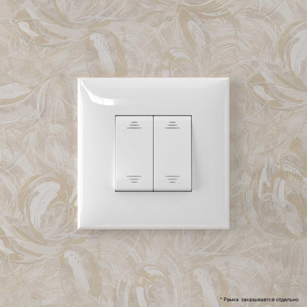 DKC Avanti Белое облако Инвертор двухклавишный