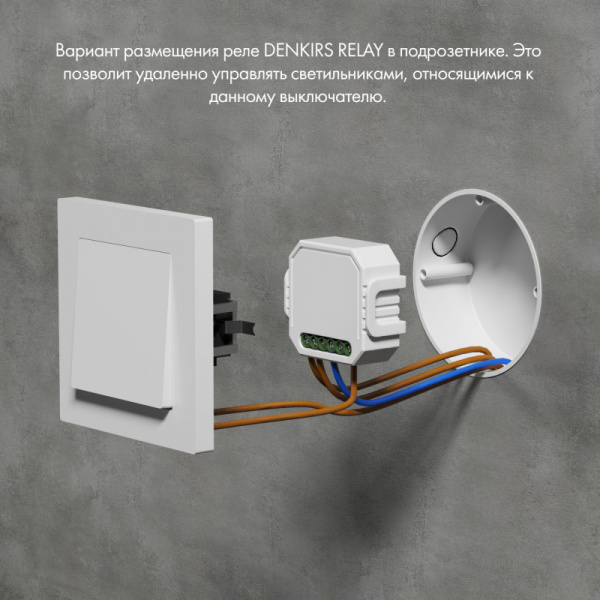 RL1003-DM/1 Одноканальное Wi-Fi реле-диммер 1 x 150 Вт