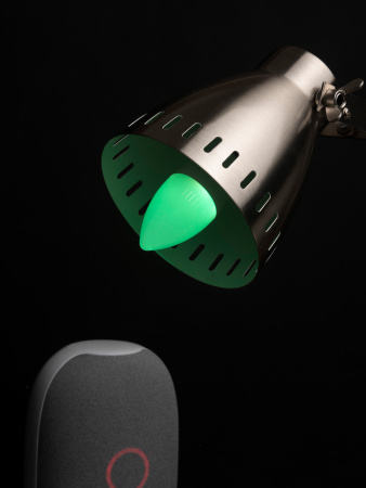 EKF Connect Умная лампа 5W WIFI RGBW E14