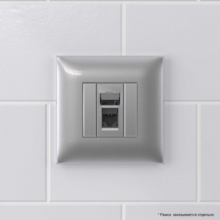 DKC Avanti Закаленная сталь Компьютерная розетка RJ-45 один  категория  6А