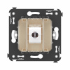 DKC Avanti Компьютерная розетка RJ-45 без шторки в стену, кат.6 одинарная, Ванильная дымка