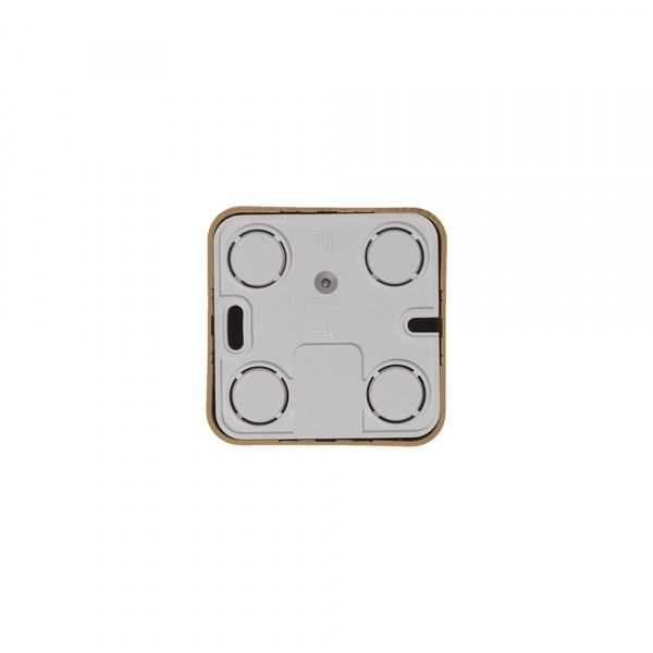 SE Blanca наруж Ясень Розетка TV, изолир. пластина