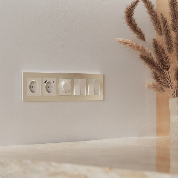 Рамка из металла на 5 постов AluMax шампань алюминий W0053511