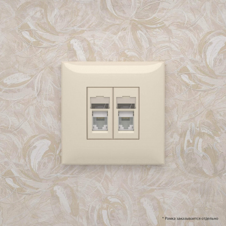 DKC Avanti Ванильная дымка Компьютерная розетка RJ-45 двойная  категория 5e