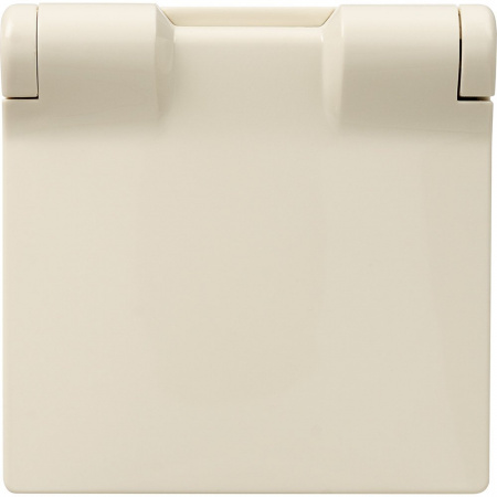 Legrand Valena LIFE Сл.кость Накладка розетки с/з с крышкой