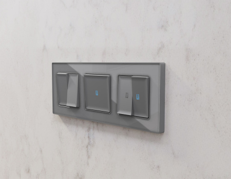 Рамка ALFA Arctic (Антрацит серый Стекло органическое) 3-ая AF580653