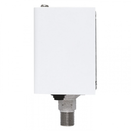 EKF PROxima Реле избыточного давления RVG-20-1,6 (1,6 МПа)