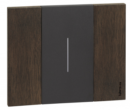 BT Living now Орех Рамка немецкий стандарт 2 мод