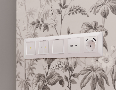 Лицевая панель ALFA (Жемчуг) для электрической розетки с заземлением со шторками 2USB A+A QUANT AP2090