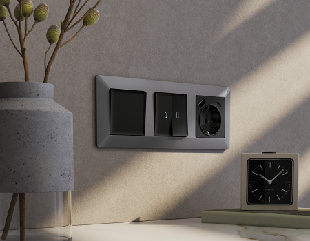 Рамка ALFA Line (Сталь матовый) 2-ая AF110502