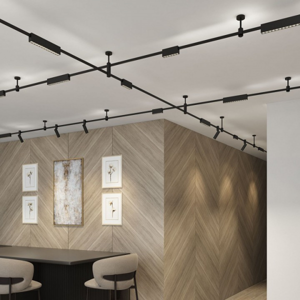 Esthetic Magnetic Трековый светильник 12W 3000K (чёрный) 85121/01 Elektrostandard Esthetic Magnetic a065422