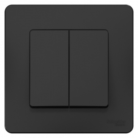 SE Blanca внутр Антрацит Переключатель 2-клавишный, 10А, 250B