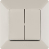 Legrand Valena LIFE DIY Сл.кость Выключатель 2-клавишный 10А 250В