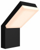 Настенный светильник (бра) Outdoor O595WL-L12B3K Maytoni Paso