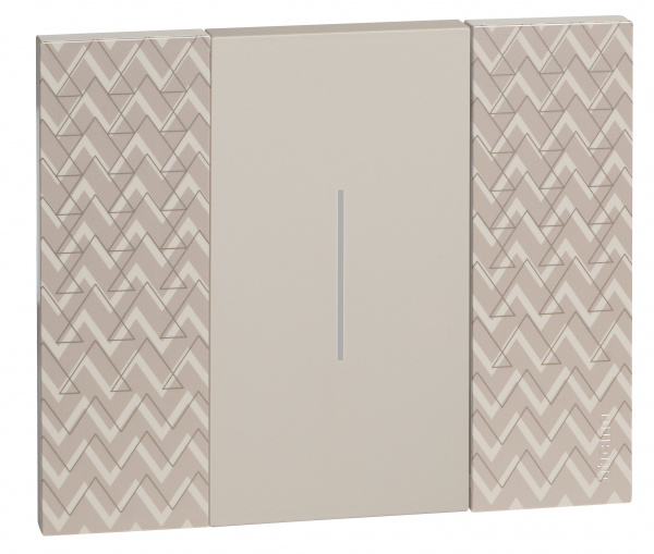 BT Living now Оптик Рамка немецкий стандарт 2 мод