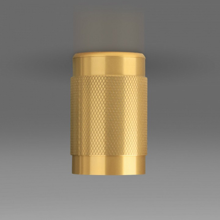 Накладной акцентный светильник DLN109 GU10 Elektrostandard Tony a047741