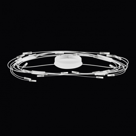 Потолочный светильник Lightstar Ovale 784246