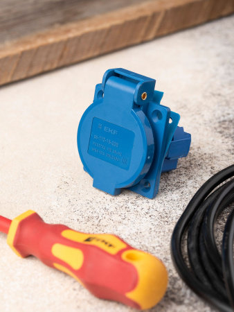 EKF PROxima Розетка 112 панельная скрытая с крышкой 2Р+PЕ 16А 220В IP44