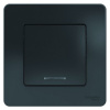SE Blanca внутр Антрацит Выключатель 1-клавишный с подсветкой, 10А, 250B