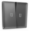 Лицевая панель ALFA (Антрацит серый) для 2-клавишных выключателей с подсветкой QUANT AP6540