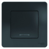 SE Blanca внутр Антрацит Выключатель 1-клавишный с подсветкой, 10А, 250B