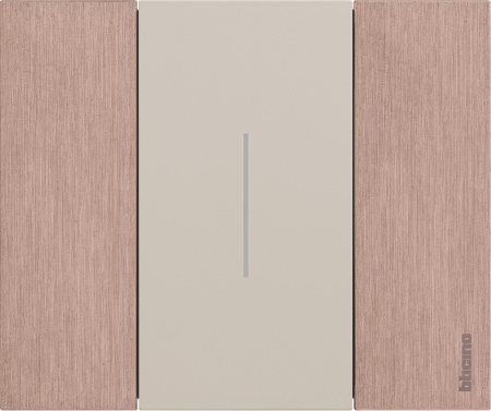 BT Living now Медь Рамка немецкий стандарт 2 мод