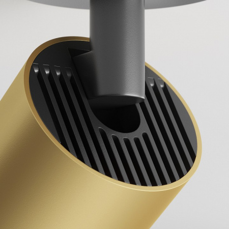 Потолочный светильник Ceiling & Wall C049CL-U-1BMG Maytoni FOCUS S