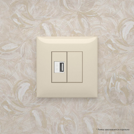 DKC Avanti Ванильная дымка Зарядное устройство USB