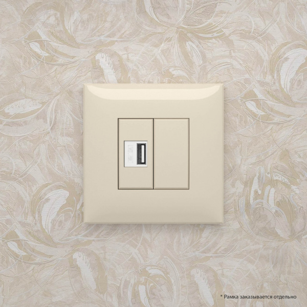 DKC Avanti Ванильная дымка Зарядное устройство USB