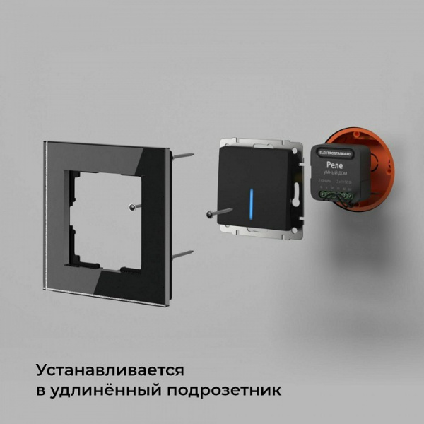 Умное двухканальное реле 76007/00 Elektrostandard 76007 a059326