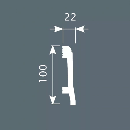 Плинтус PX022, 100х22, 2000мм, Экополимер/20