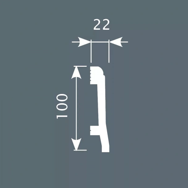 Плинтус PX022, 100х22, 2000мм, Экополимер/20