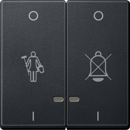 SE Merten SM Антрацит Две Клавиши "перечеркнутый звонок", "горничная" с окошком для свет. индикации