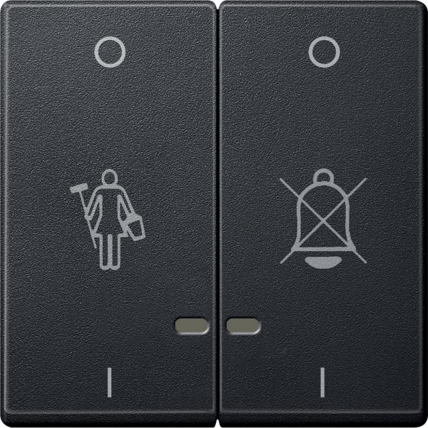 SE Merten SM Антрацит Две Клавиши "перечеркнутый звонок", "горничная" с окошком для свет. индикации