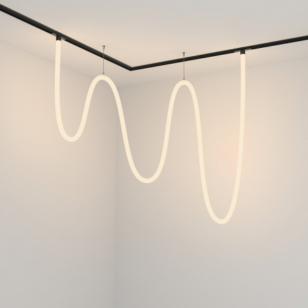 Трековый подвесной светильник Technical TR101-2-100W3K-B Maytoni Tau