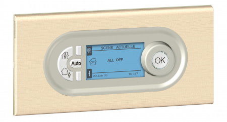 Legrand Celiane Клён Рамка 4/5 мод