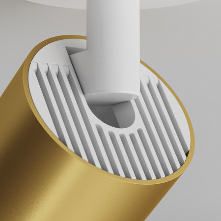 Потолочный светильник Ceiling & Wall C049CL-U-1WMG Maytoni FOCUS S