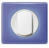 Legrand Celiane2 Белый Клавиша 1-ая для кнопочного выключателя с контурной подсветкой