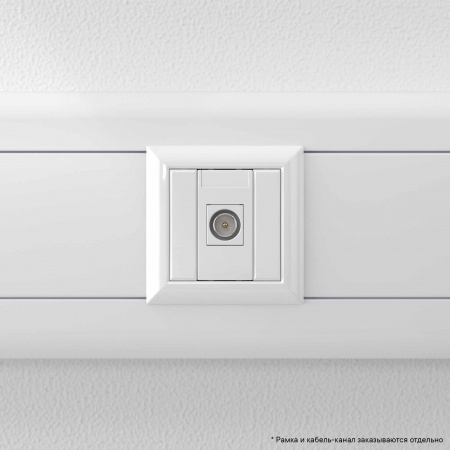 DKC Avanti Белое облако Розетка ТВ оконечная 1 модуль
