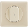 Legrand Celiane Мех выключателя 2 (1) мод