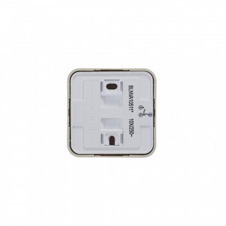 SE Blanca наруж Беж Выключатель 2-клавишный (cх.5) с подсветкой, изолир. пластина 10А,250B